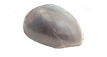 Hairpiece Micro Thin Skin Base Disposable