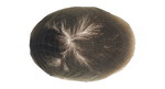 Hairpiece all french lace R-1