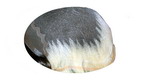 Hairpiece for men lace front R-6-Plus