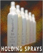 Hairpiece Holding Sprays